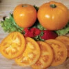Amish Gold Slicer Tomato