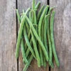 Jade Bush Bean