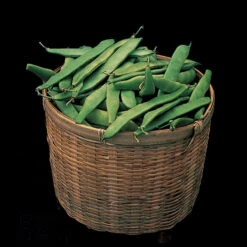 Roma II Italian Bush Bean