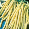 Rocdor Yellow Wax Bush Bean