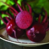 Detroit Supreme Beet