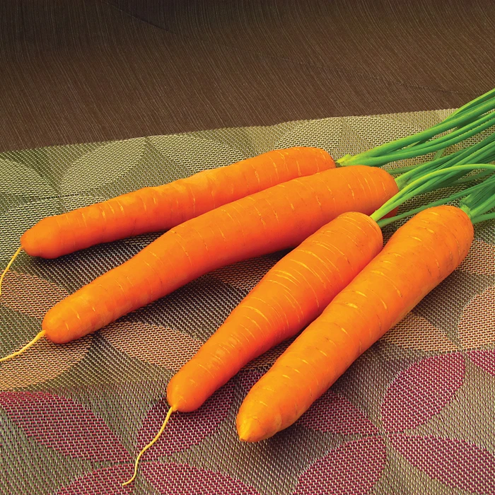 Ingot Hybrid Carrot 1 Ingot Hybrid Carrot