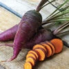 Dragon Carrot