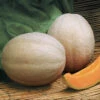 Aphrodite Hybrid Muskmelon