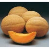 Athena Hybrid Muskmelon