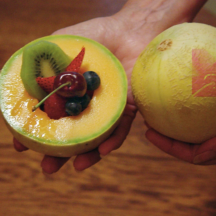 Tasty Bites Hybrid Muskmelon 1 Tasty Bites Hybrid Muskmelon