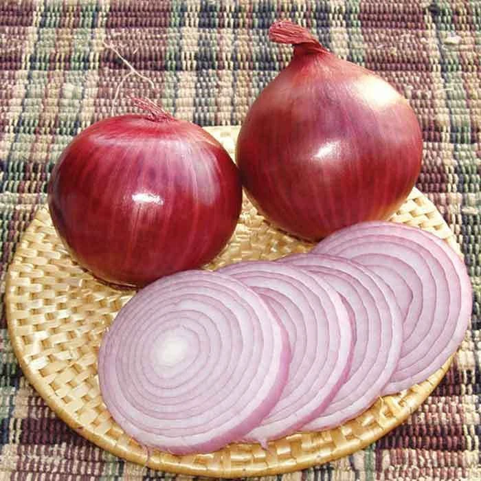 Redwing Hybrid Onion 1 Redwing Hybrid Onion