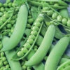 Strike Garden Shelling Pea