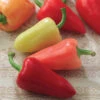 Mariachi Hybrid Pepper