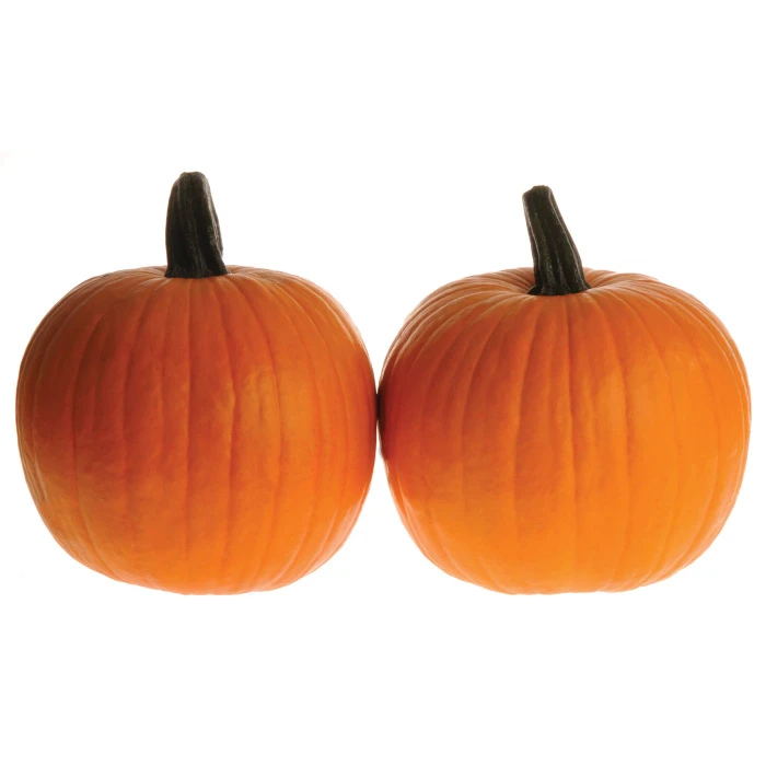 Corvette PMR Hybrid Pumpkin 1 Corvette PMR Hybrid Pumpkin