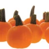 Half Pint Hybrid Pumpkin