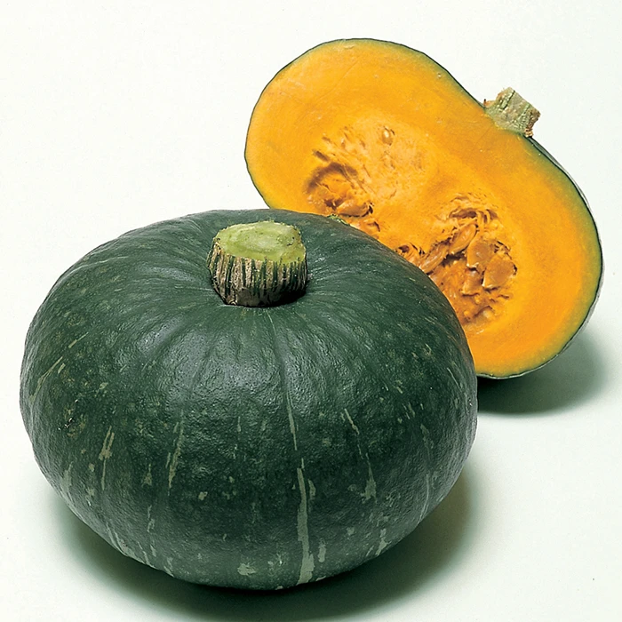 Maxima Sweet Mama Hybrid Winter Squash 1 Maxima Sweet Mama Hybrid Winter Squash