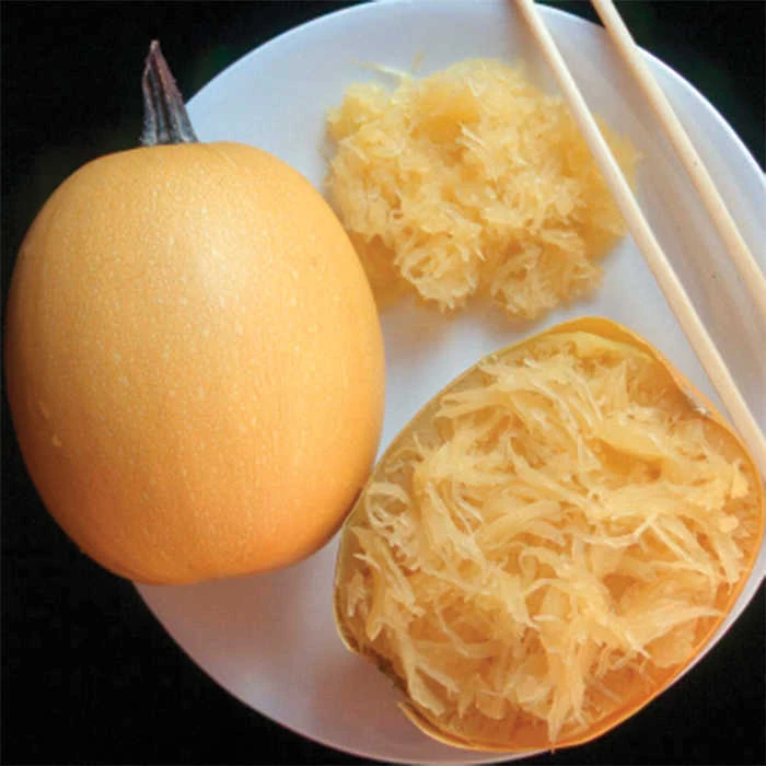 Small Wonder Hybrid Spaghetti Squash 1 Small Wonder Hybrid Spaghetti Squash