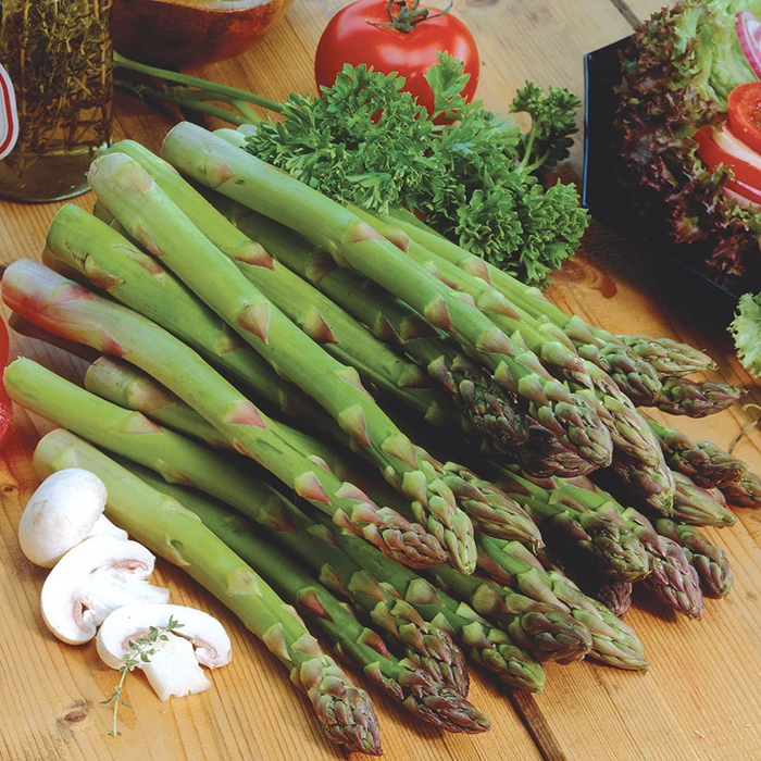 Asparagus Offer #1 1 Asparagus Offer #1