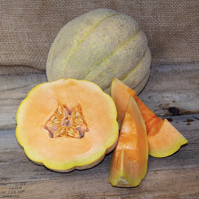 Pride Of Wisconsin Organic Muskmelon 1 Pride Of Wisconsin Organic Muskmelon