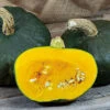 Maxima Organic Burgess Buttercup Squash