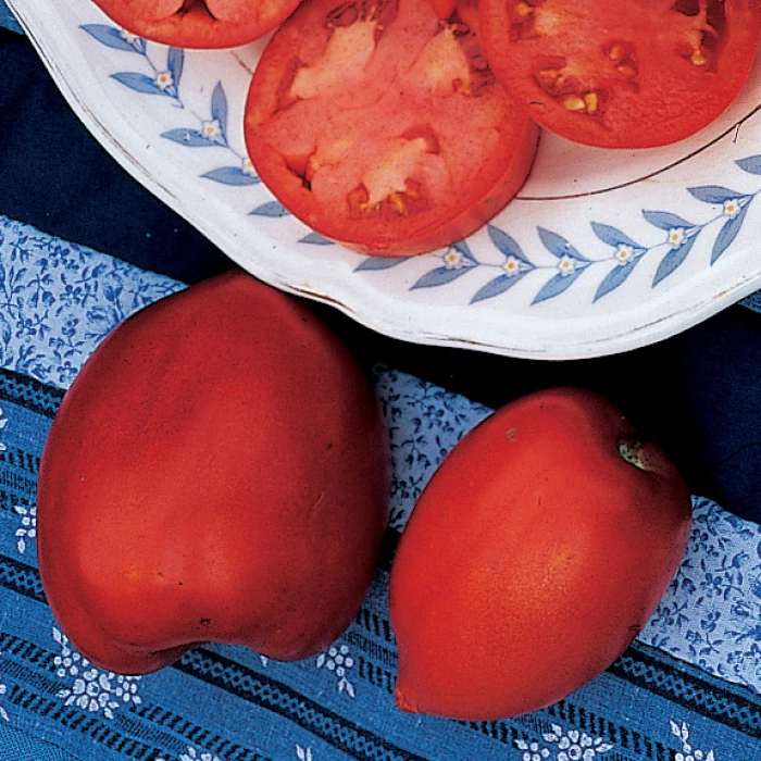 Amish Paste Organic Tomato 1 Amish Paste Organic Tomato