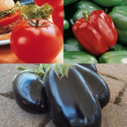 Grafted Garden Sampler