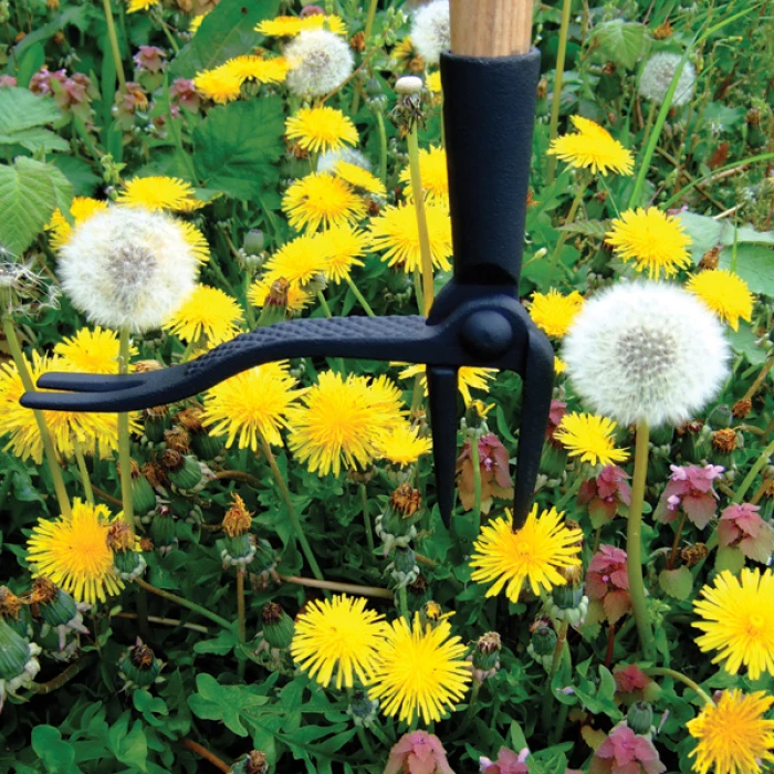 Grandpas Weeder 1 Grandpas Weeder