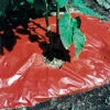S R M Red Mulch Film (4' X 100')