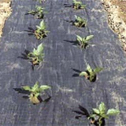 The Original Planters Paper® (24" X 50')