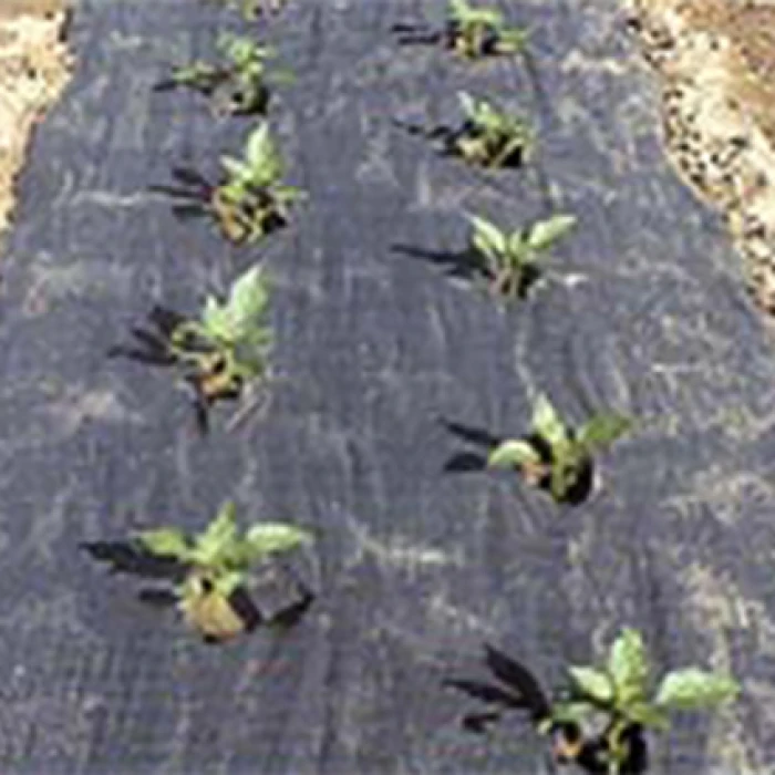 The Original Planters Paper® (48" X 100') 1 The Original Planters Paper® (48" X 100')