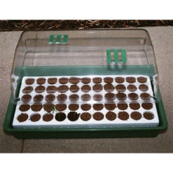 Q Plug 55 Pack Refill