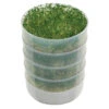 Kitchen Crop Sprouter