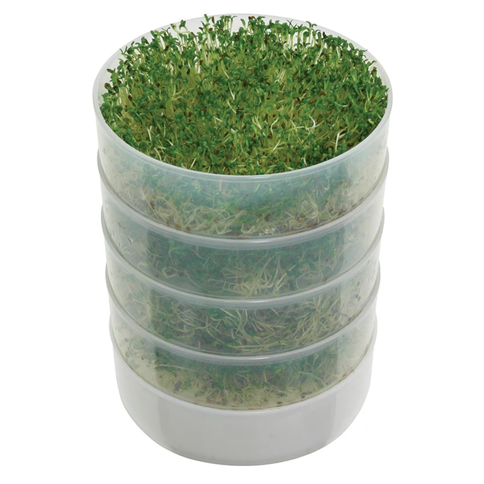 Kitchen Crop Sprouter 1 Kitchen Crop Sprouter