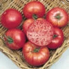 Mortgage Lifter Tomato
