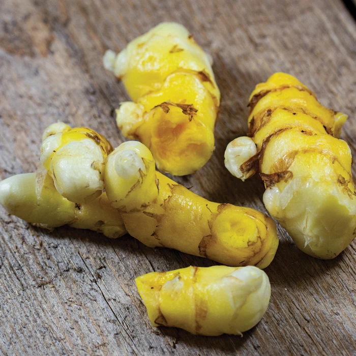 White Turmeric 1 White Turmeric
