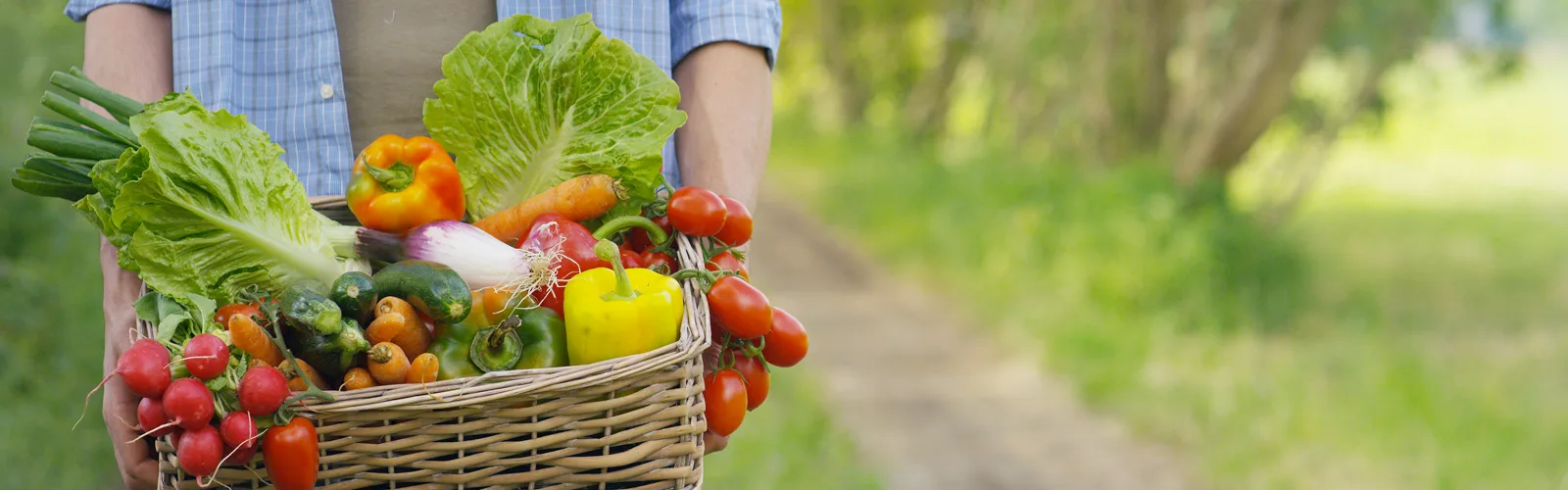 Various Shop -Various Shop